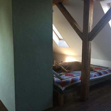 Ferienwohnung Schulze フライタール エクステリア 写真