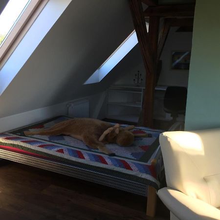Ferienwohnung Schulze フライタール エクステリア 写真