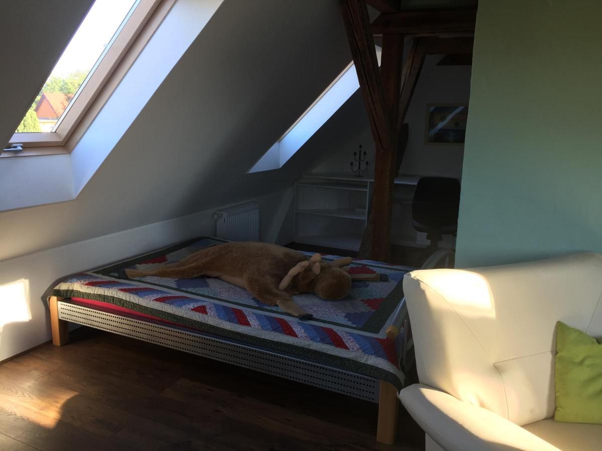 Ferienwohnung Schulze フライタール エクステリア 写真