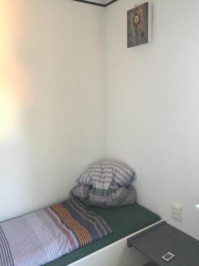 Ferienwohnung Schulze フライタール エクステリア 写真